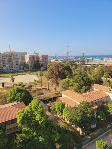 eine Aussicht über eine Stadt mit Bäumen und Gebäuden in der Unterkunft الفيصل in Port Said