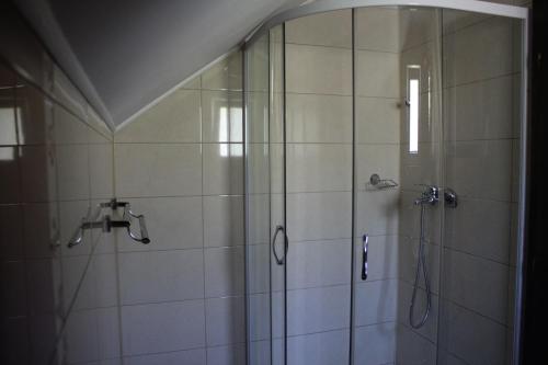 baño con ducha y puerta de cristal en Casa Erika, en Moieciu de Sus
