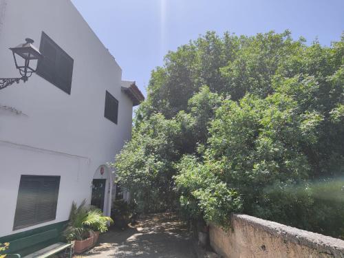 a white house with trees next to a building at LA CASA DEL ALMÁCIGO in Arona