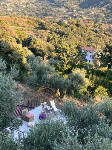 Φυσικό τοπίο κοντά σε αυτό το κατάλυμα σε φάρμα