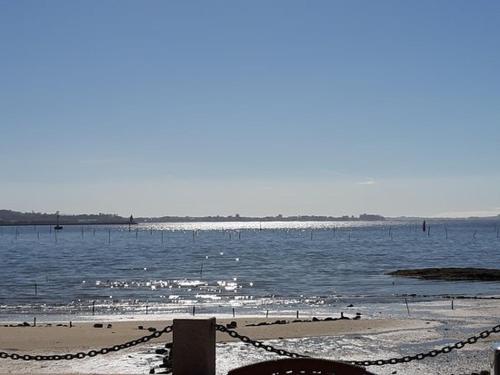 a beach with a bunch of birds in the water at Apartamento Mar de la Concha in Vilagarcia de Arousa