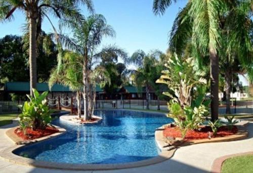 a swimming pool with palm trees in a resort at Cobram Barooga Golf Resort in Barooga