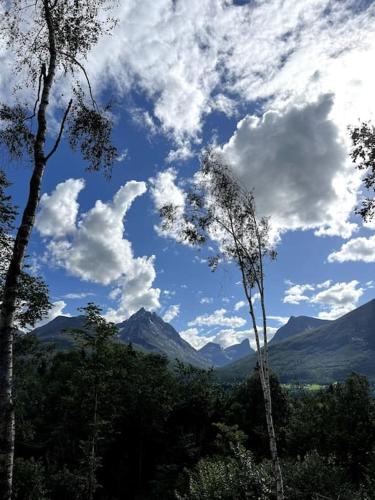 a blue sky with clouds and trees and mountains at Kavliskogen panorama in Isfjorden