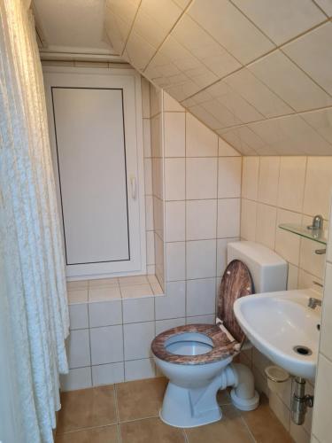 a bathroom with a toilet and a sink at Zur Sonnenblume in Beyernaumburg