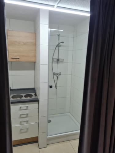 a bathroom with a shower with a sink and a stove at Zur Sonnenblume 