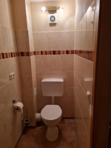a small bathroom with a toilet and a shower at Zur Sonnenblume in Beyernaumburg