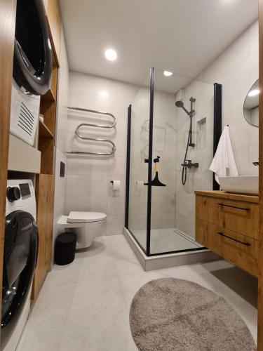 y baño con ducha, aseo y lavamanos. en Samanų apartamentai, en Šiauliai