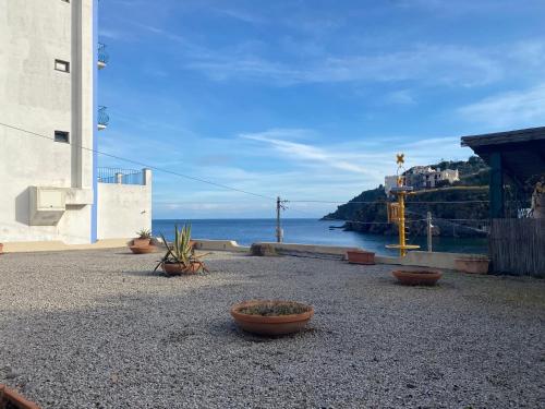 a group of potted plants sitting on the ground near the ocean at Casa Bouganville, vista mare! in Lipari