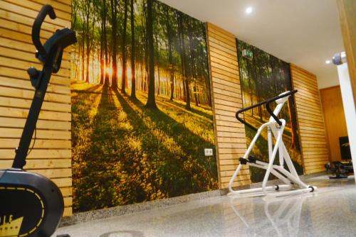 a gym with a painting of trees on the wall at Hotel Linde Pfalz in Silz