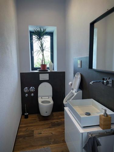 a bathroom with a toilet and a sink and a window at Privatzimmer nahe Legoland in Niederstotzingen