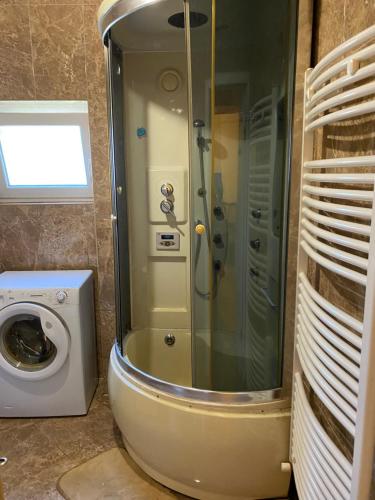 a shower in a bathroom with a washing machine at Будинок для відпочинку Патріція in Berehove