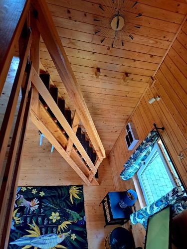 an overhead view of a tree house with a loft at Noclegi "LAS WYPAS" Trzcianka in Trzcianka