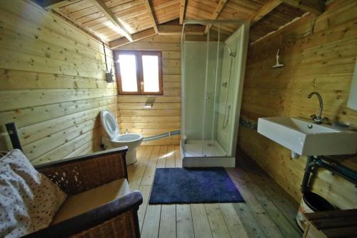 La salle de bains est pourvue d'une douche, de toilettes et d'un lavabo. dans l'établissement Domaine La Faix, Gite la Forestière, à Saint-Plaisir