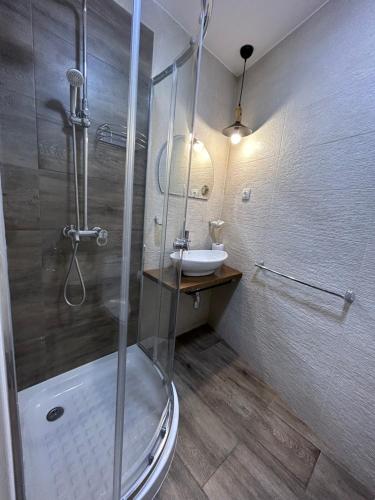 uma casa de banho com um chuveiro e um lavatório. em Къща за гости ЕМА em Vetren Dol