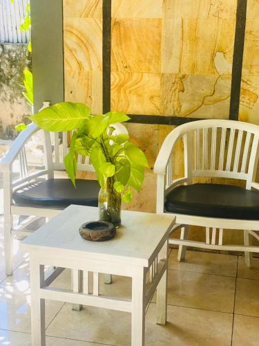 two white chairs and a table with a plant on it at Tarci Bungalows Lembongan in Nusa Lembongan