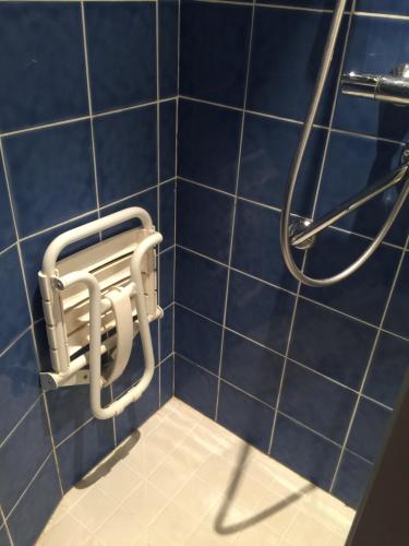 a blue tiled bathroom with a shower at La Maison aux Volets Rouges in La Ferté-Beauharnais