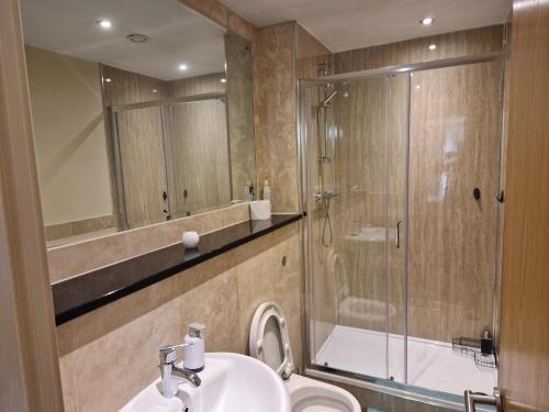 a bathroom with a shower and a sink and a toilet at West Beck House in Darlington