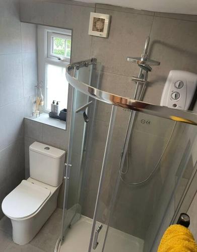 a bathroom with a shower and a toilet at Netherton Studio Apartment 2 in Llandrillo-yn-Rhôs