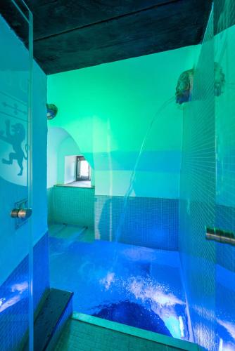 a swimming pool with a shower in a room at Castello di Limatola in Limatola