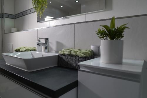 uma casa de banho com um lavatório e um vaso de plantas em Dreams im Erdgeschoss em Koetz 