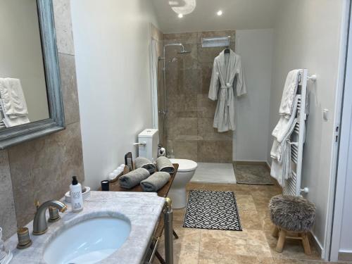 een badkamer met een wastafel, een toilet en een douche bij Gîte de l’abbaye in Saint-Jean-aux-Bois