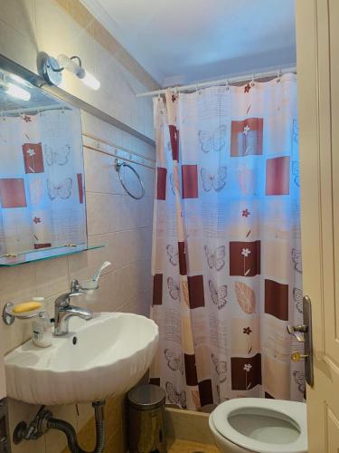 a bathroom with a sink and a toilet and a shower curtain at BOKAS EXOTIC HOUSE in Tragána