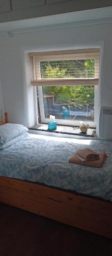 Schlafzimmer mit einem Bett und einem großen Fenster in der Unterkunft Top Barn WALES in Monmouth