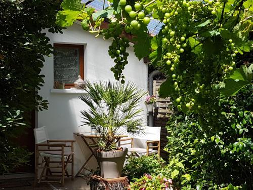 eine Terrasse mit einem Tisch, Stühlen und Pflanzen in der Unterkunft Chambre Indépendante "Terre Rouge" in Martignas-sur-Jalle