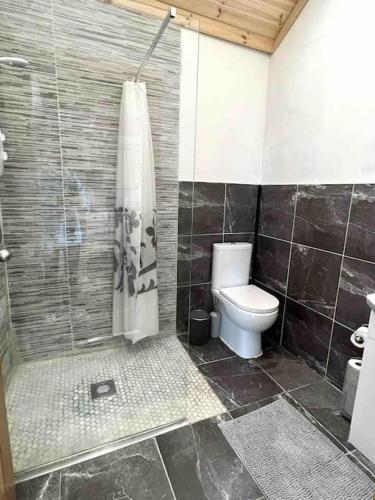 uma casa de banho com um WC e um chuveiro em Cheerful 2 bedroom cottage with free parking em Droíchead an Chláir