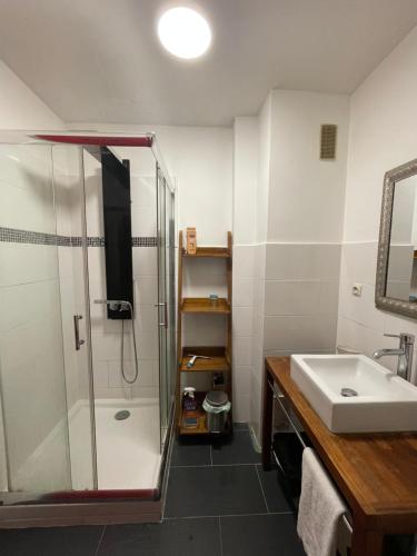 een badkamer met een glazen douche en een wastafel bij Appartement spacieux. P gratuit.plage à 13 min in Brest