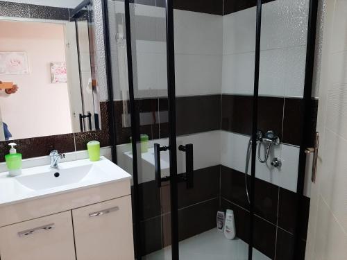 W łazience znajduje się prysznic i umywalka. w obiekcie Apartman Sweet dreams 1 w Niszu
