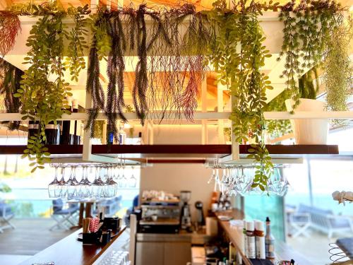 a bar with glasses and plants hanging from the ceiling at VILLA ALEXIS in Megali Ammos