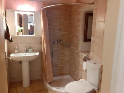 a bathroom with a shower and a toilet and a sink at Studio Matina in Valsamáta