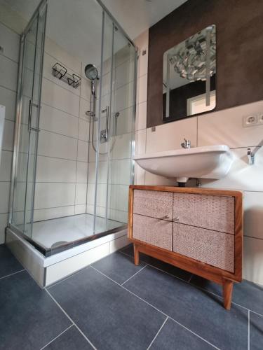 ein Bad mit einem Waschbecken und einer Dusche in der Unterkunft Hufschmieds Bleibe in Passau