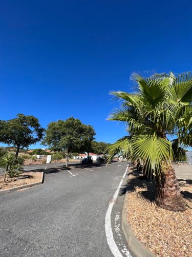 une rue avec un palmier sur le côté de la route dans l'établissement #9 HABITACIÓN DOBLE AYAMONTE, à Ayamonte