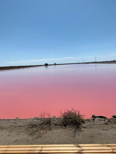 a large body of water with a pink sky at Cabane SIRIUS Aigues-Mortes in Aigues-Mortes