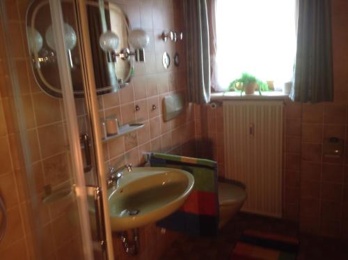 Ένα μπάνιο στο Ferienwohnungen Hölzl