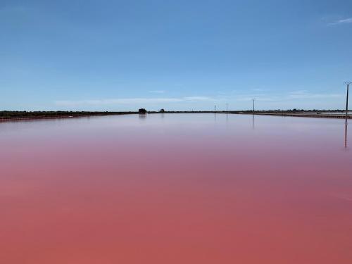 ein großer Wasserkörper mit rosa Wasser in der Unterkunft Cabane MAIA Aigues Mortes in Aigues-Mortes