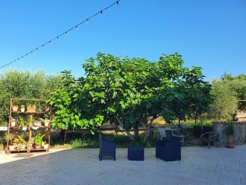 Colle Del Mirto – Photos 3