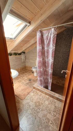 a bathroom with a shower and a toilet at Michaela Loft in Póros Kefalonias