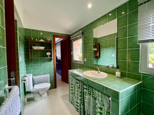 La salle de bains verte est pourvue d'un lavabo et de toilettes. dans l'établissement Gite Le Mas De Marie, à Lavaur