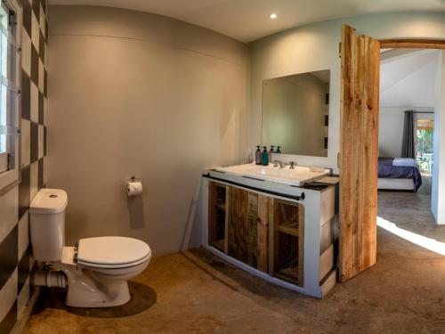 a bathroom with a toilet and a sink and a mirror at Treebia Self-catering - Loadshedding Free in Plettenberg Bay