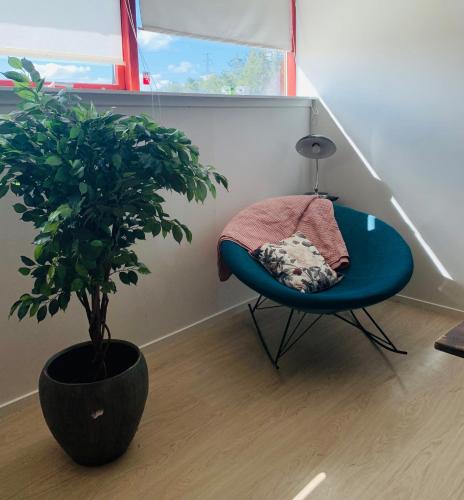 a blue chair and a potted plant in a room at Country guesthouse in Gadstrup