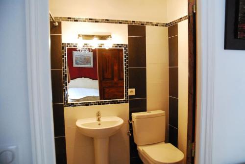 une salle de bain avec un lavabo, des toilettes et un miroir dans l'établissement Les gites d'intervalles, à Entrevaux