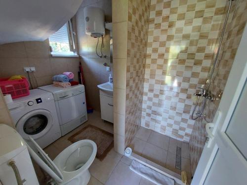 ein Bad mit einer Waschmaschine und einer Dusche in der Unterkunft Kuća-Villa pored rijeke i jezera Čelebići Konjic in Konjic