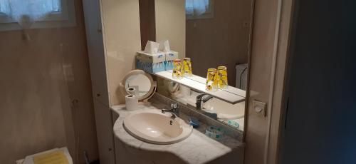a bathroom with a sink and a toilet in it at Gite Seraphon in Cénac