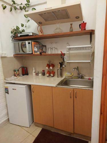 une petite cuisine avec un évier et un réfrigérateur dans l'établissement Spring apartment Bahar nissim Jerusalem, à Jérusalem