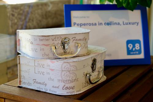 佩斯卡拉的住宿－Peperosa in collina B&B，两个箱子堆在桌子上