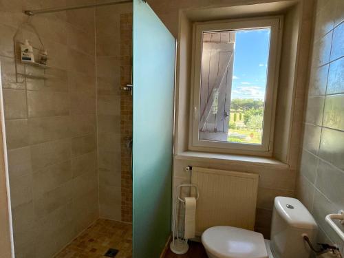 a bathroom with a toilet and a window at Le Mas De Marie in Lavaur