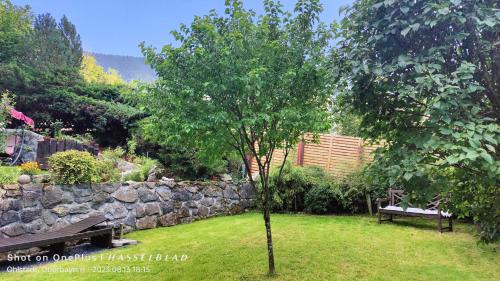 Zahrada ubytování Ferienapartment Opitz - Zugspitzregion